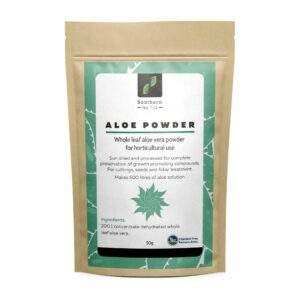 Aloe powder
