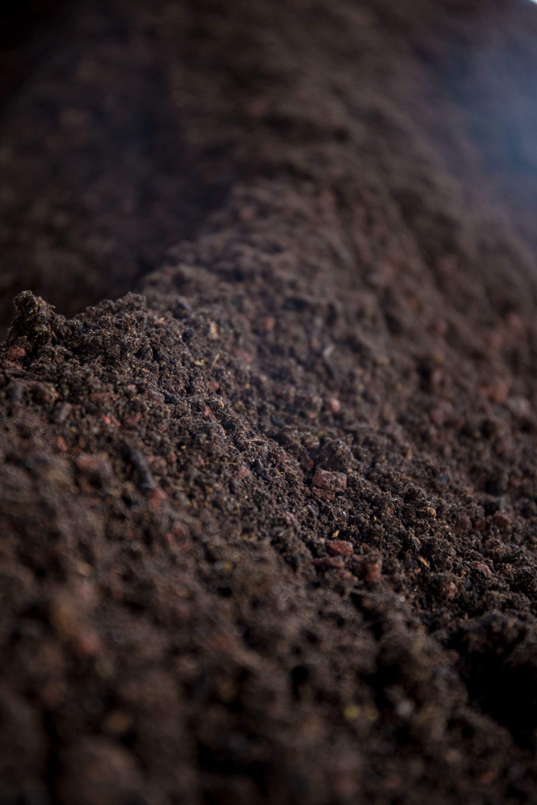 hot steaming pile of Easy as Organics living soil