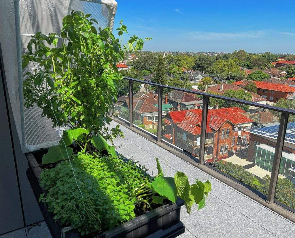 Vegepod on a small balcony overlooking city