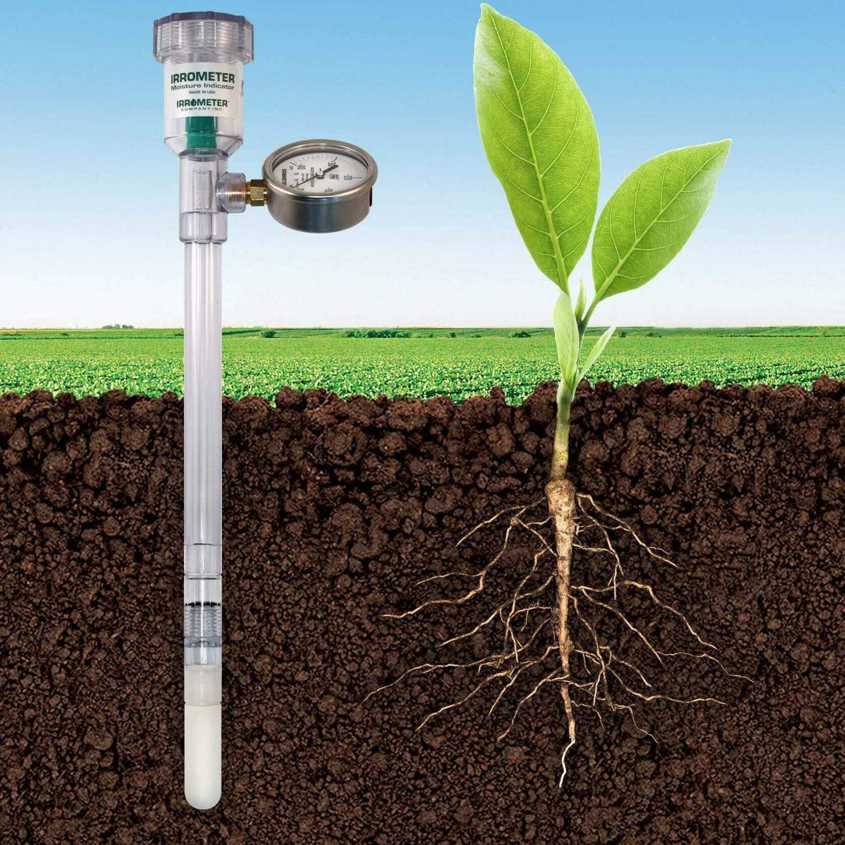 Irrometer in soil next to roots