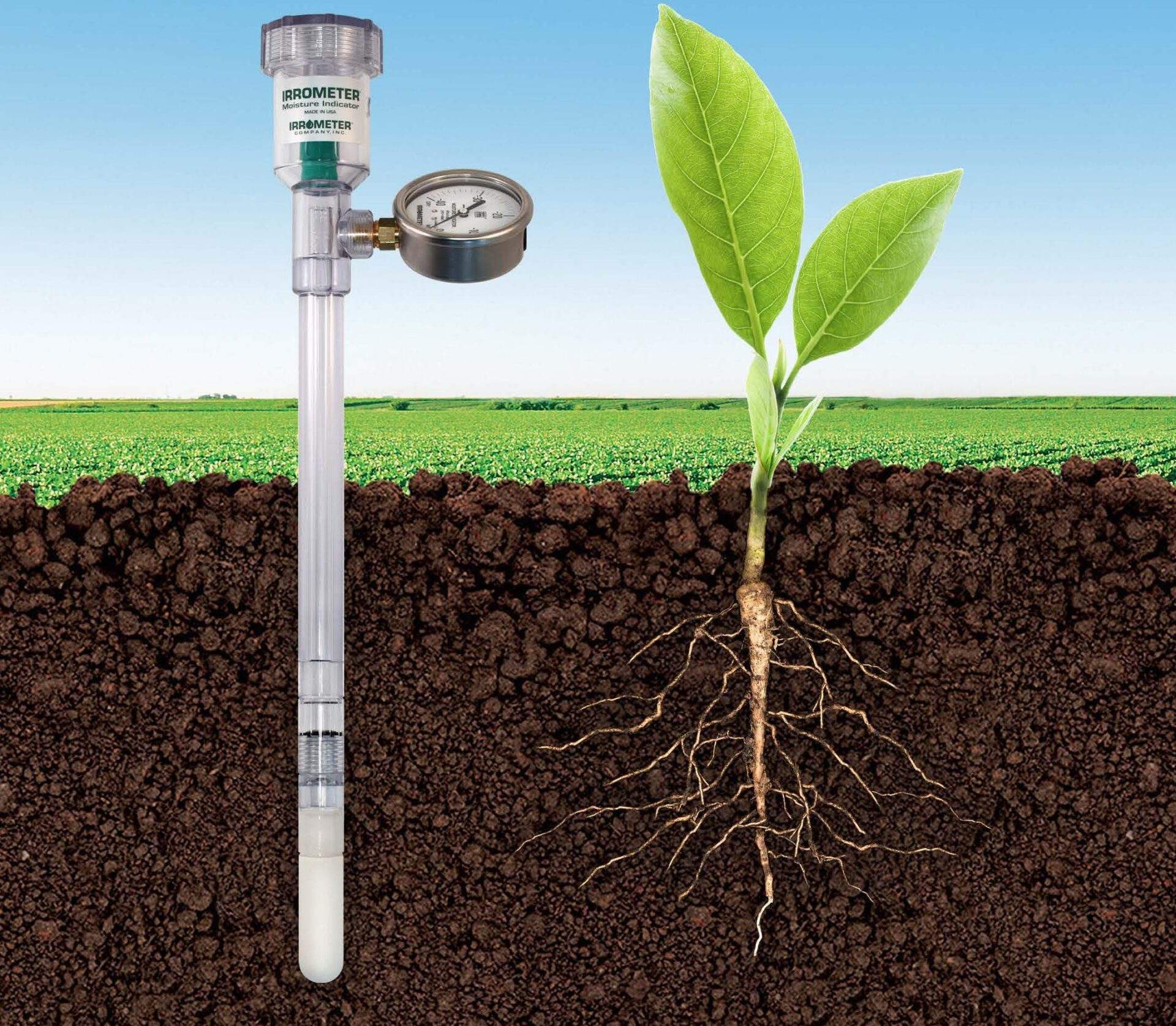 Irrometer in soil next to roots